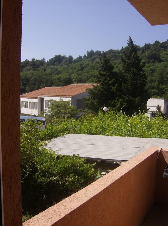 Guesthouse Lautasevic Petrovac Exterior photo